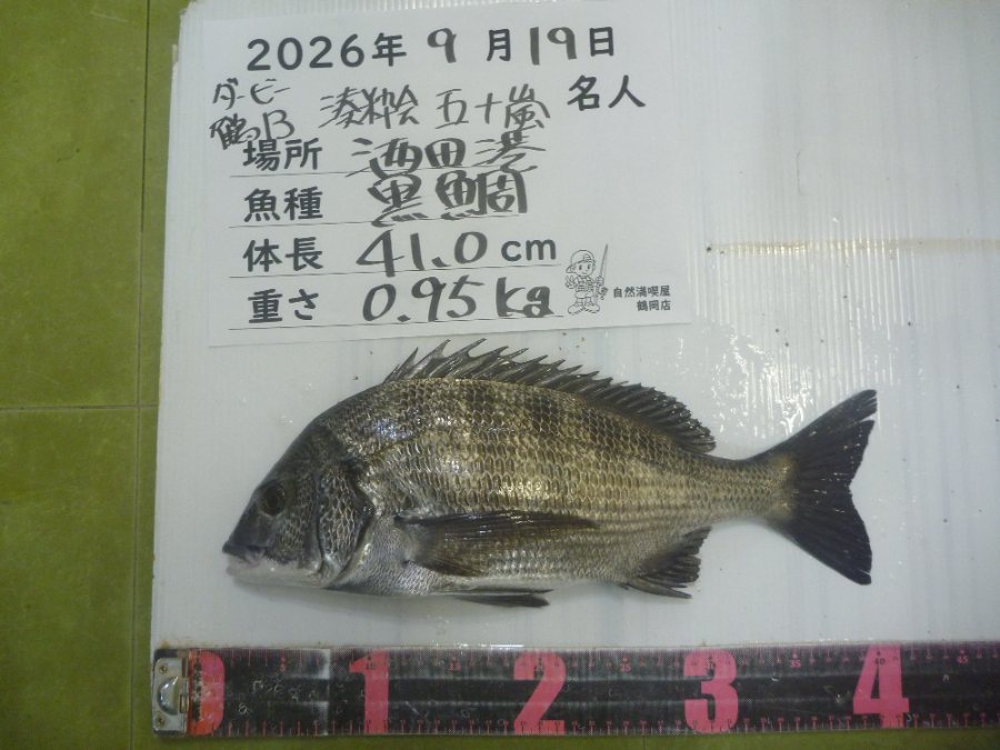 黒鯛