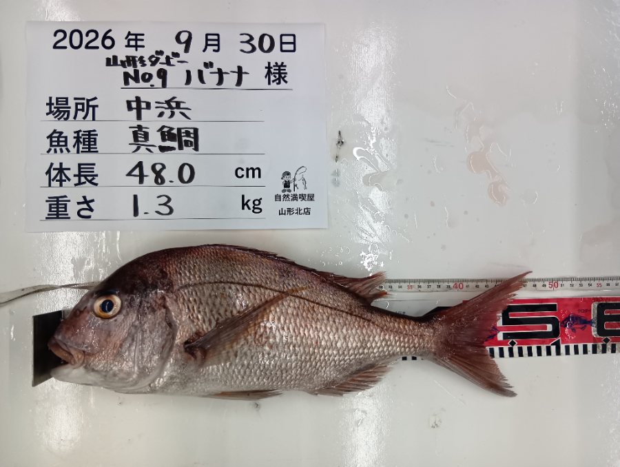 真鯛