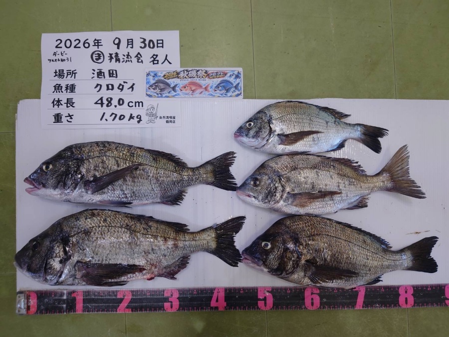 クロダイ