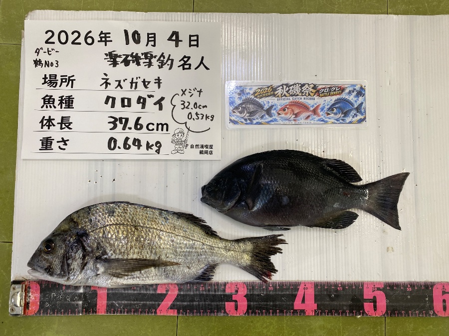 黒鯛　メジナ