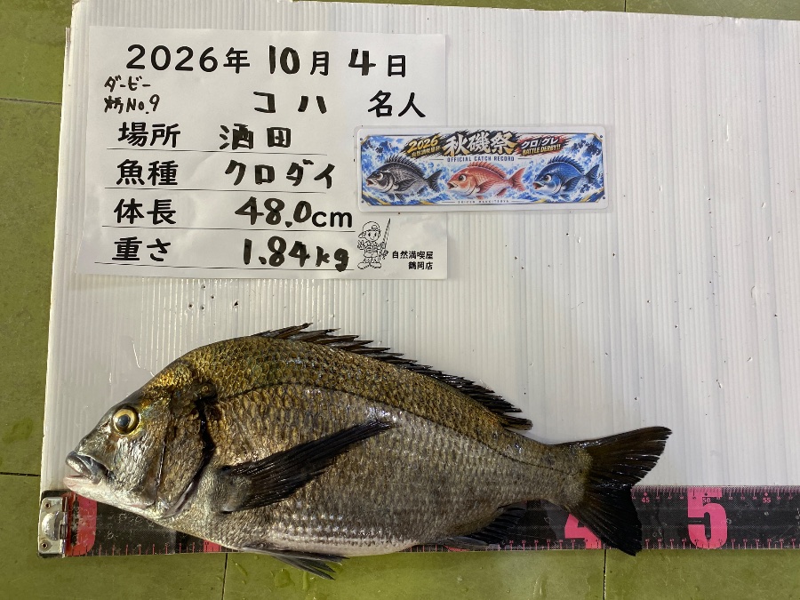 黒鯛