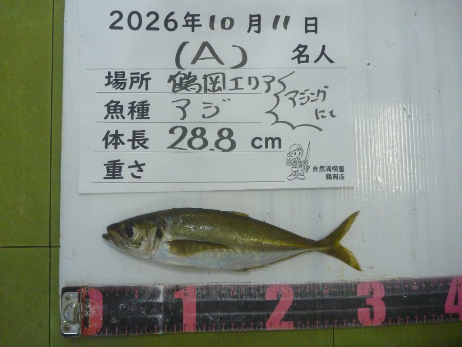 アジ