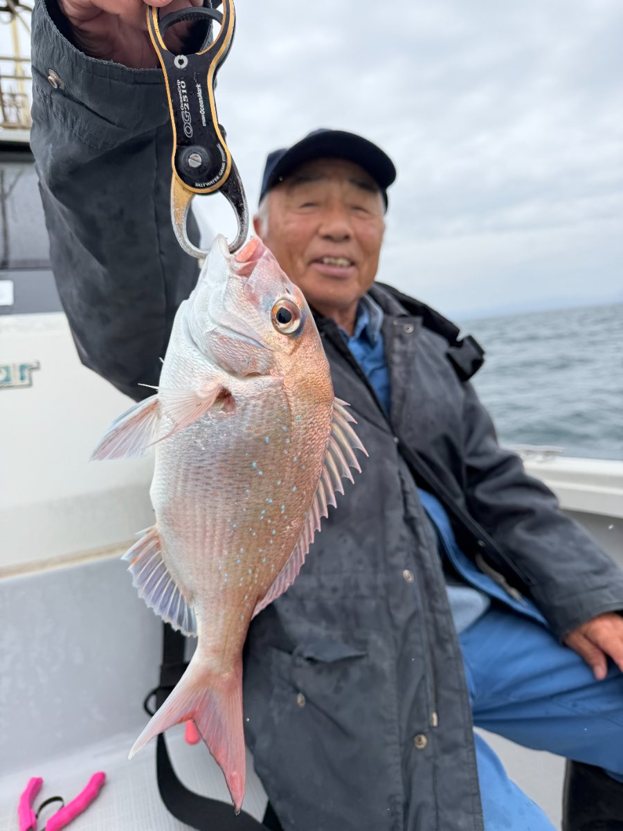 真鯛等