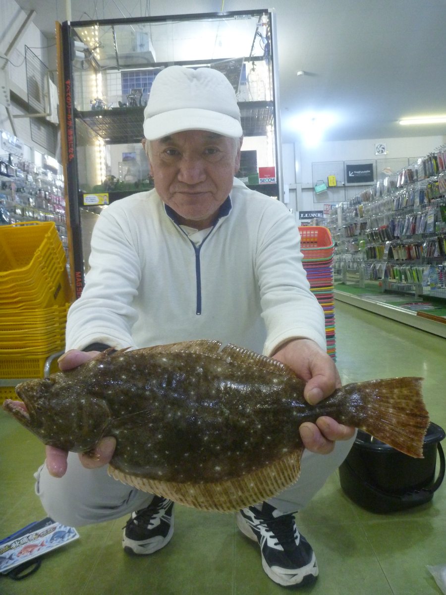ヒラメ