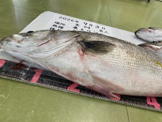 シーバスの釣果写真