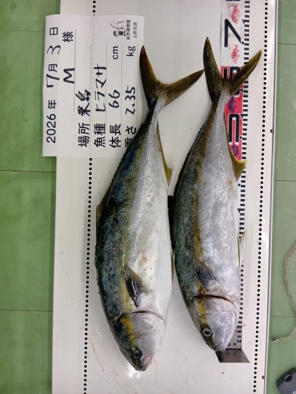 ヒラマサの釣果写真